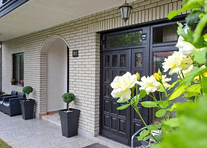 Jevtic 3 * 소코 반자